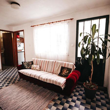 Apartament Casa Da Avo Rosa São Vicente Zewnętrze zdjęcie