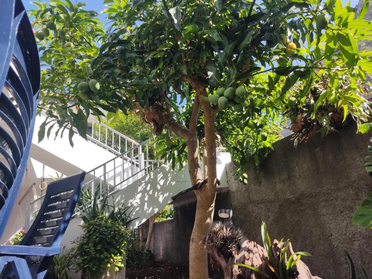 Apartament Casa Da Avo Rosa São Vicente Zewnętrze zdjęcie