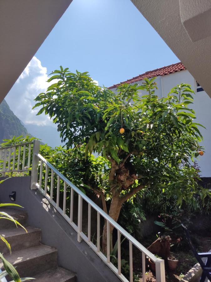 Apartament Casa Da Avo Rosa São Vicente Zewnętrze zdjęcie