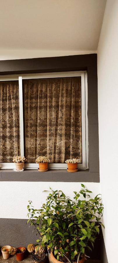 Apartament Casa Da Avo Rosa São Vicente Zewnętrze zdjęcie