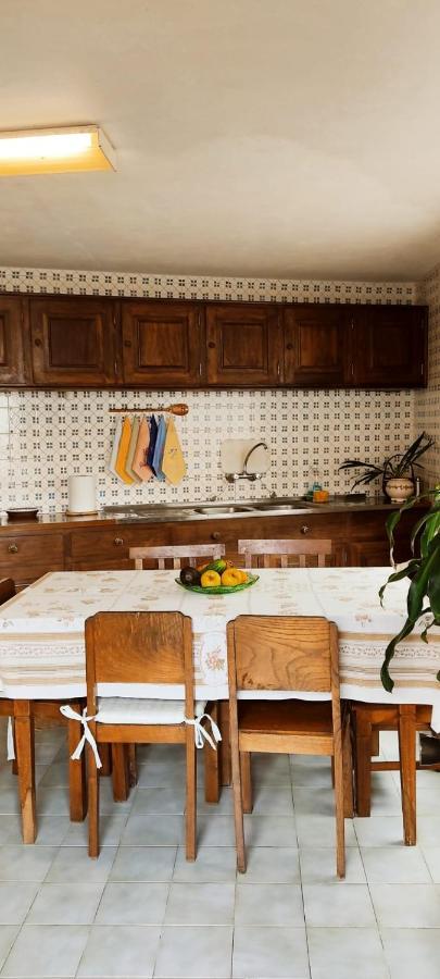 Apartament Casa Da Avo Rosa São Vicente Zewnętrze zdjęcie